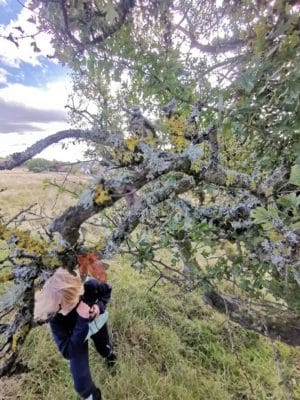 Jen's tattoo inspiration