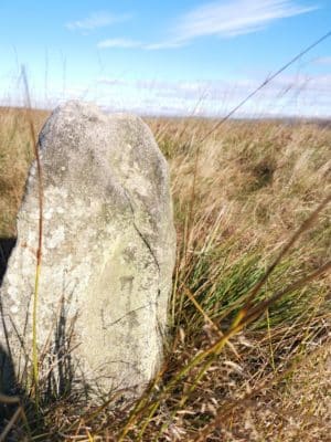 Jen's tattoo inspiration