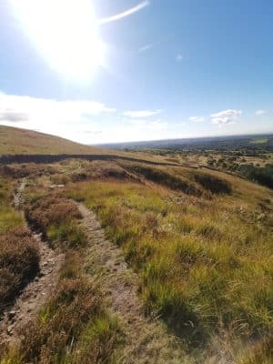 Jen's tattoo inspiration