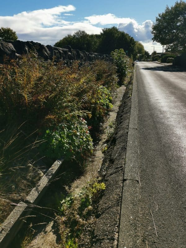 Jen's tattoo inspiration