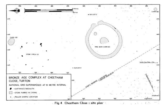 Jen's tattoo inspiration