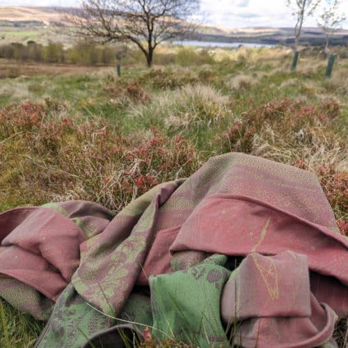 Wimberry Ember Winter Hill