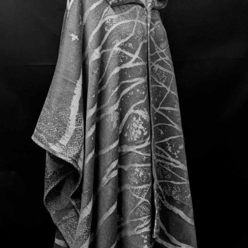 a black and white photo showing an Oak Wren cloak