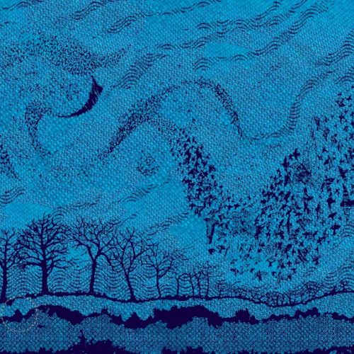 Deep Ocean Twilight Murmuration