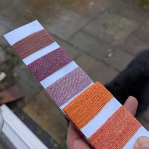 Ostara Sunrise Birch Trees