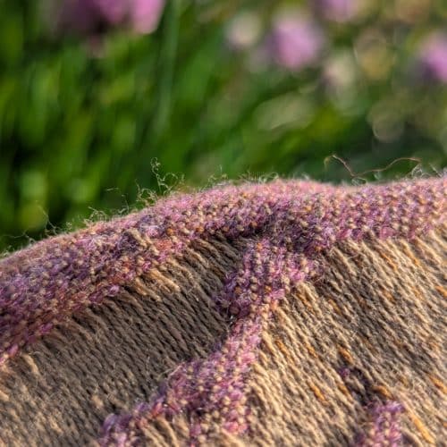 Ostara Sunrise Birch Trees