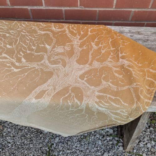 Spindrift Sunrise Midwinter