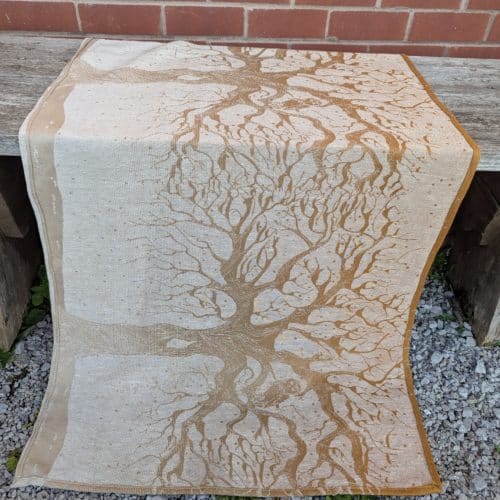 Spindrift Sunrise Midwinter